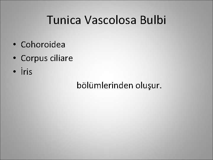 Tunica Vascolosa Bulbi • Cohoroidea • Corpus ciliare • İris bölümlerinden oluşur. 