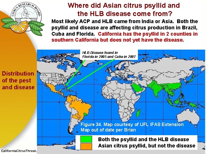 Where did Asian citrus psyllid and the HLB disease come from? Most likely ACP