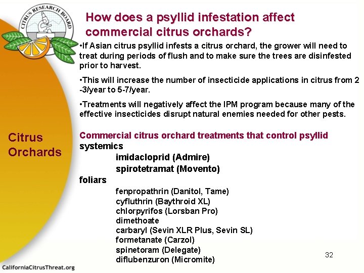 How does a psyllid infestation affect commercial citrus orchards? • If Asian citrus psyllid