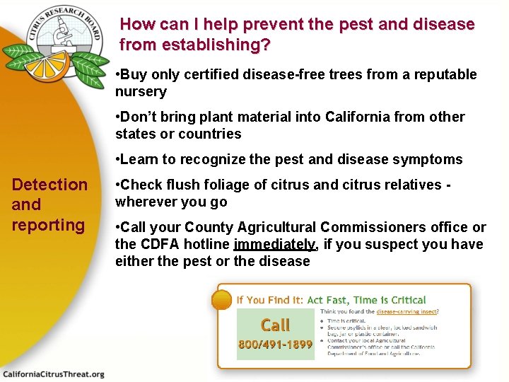 How can I help prevent the pest and disease from establishing? • Buy only