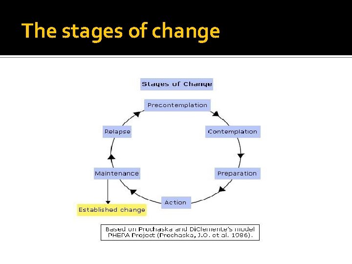 The stages of change The stages of change