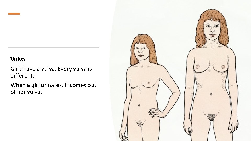 Vulva Girls have a vulva. Every vulva is different. When a girl urinates, it