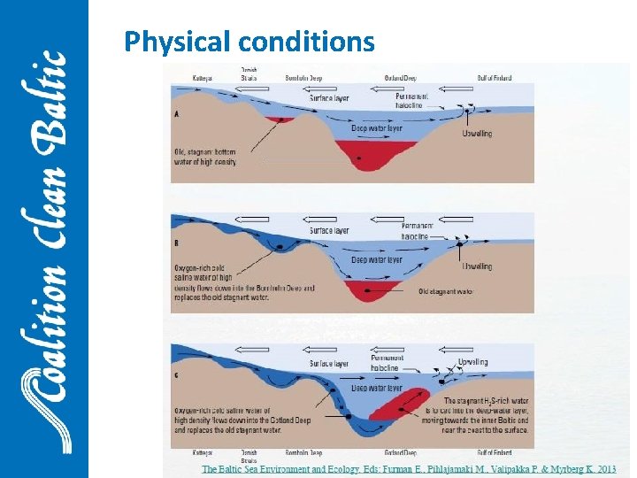 Physical conditions 10 