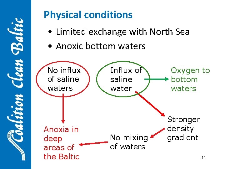 Physical conditions • Limited exchange with North Sea • Anoxic bottom waters No influx