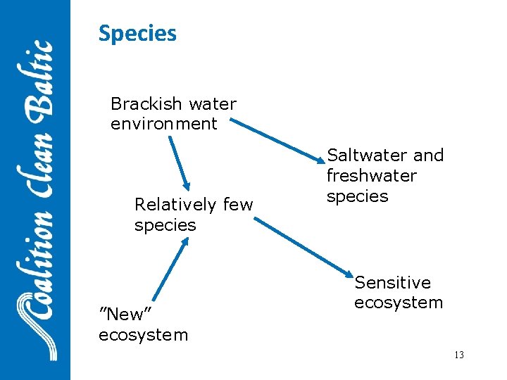 Species Brackish water environment Relatively few species ”New” ecosystem Saltwater and freshwater species Sensitive