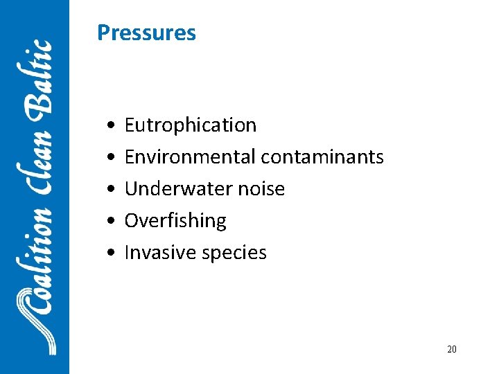 Pressures • • • Eutrophication Environmental contaminants Underwater noise Overfishing Invasive species 20 