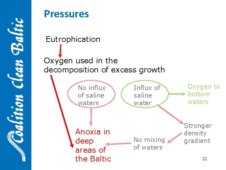 Pressures Eutrophication Oxygen used in the decomposition of excess growth No influx of saline