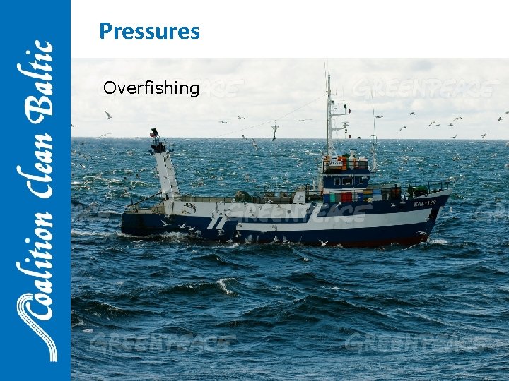 Pressures Overfishing 26 