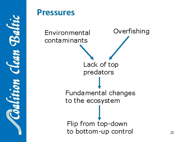 Pressures Environmental contaminants Overfishing Lack of top predators Fundamental changes to the ecosystem Flip