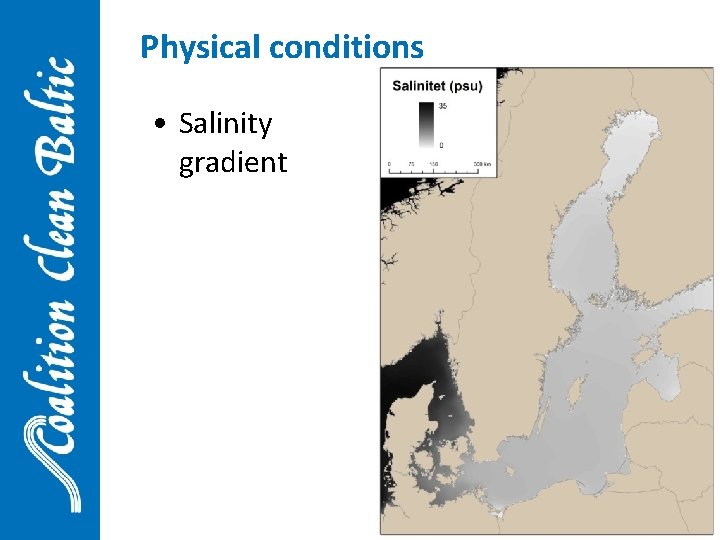 Physical conditions • Salinity gradient 8 
