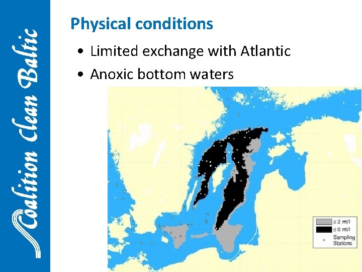 Physical conditions • Limited exchange with Atlantic • Anoxic bottom waters 9 