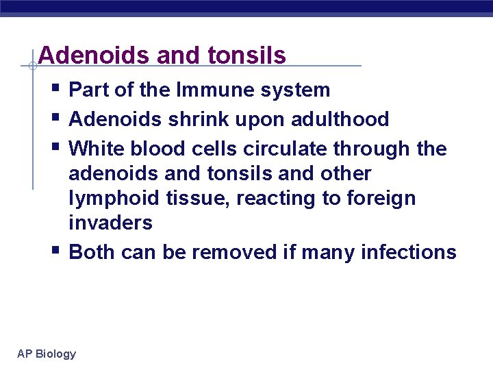 Adenoids and tonsils § Part of the Immune system § Adenoids shrink upon adulthood