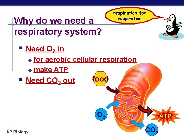 Why do we need a respiratory system? respiration for respiration § Need O 2