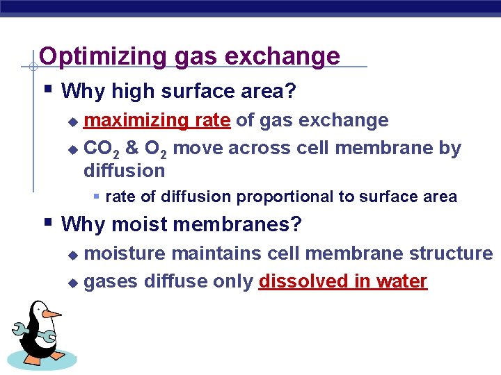 Optimizing gas exchange § Why high surface area? maximizing rate of gas exchange u