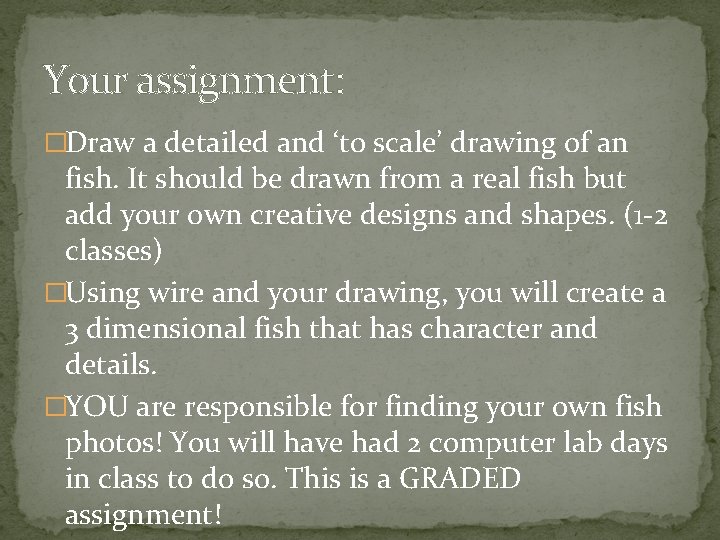 Your assignment: �Draw a detailed and ‘to scale’ drawing of an fish. It should