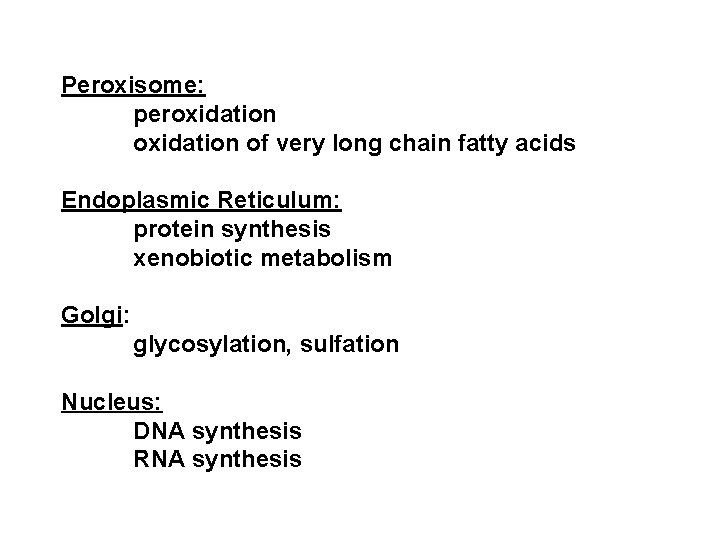 Peroxisome: peroxidation of very long chain fatty acids Endoplasmic Reticulum: protein synthesis xenobiotic metabolism