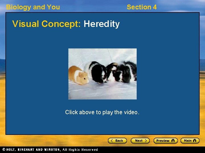 Biology and You Section 4 Visual Concept: Heredity Click above to play the video.