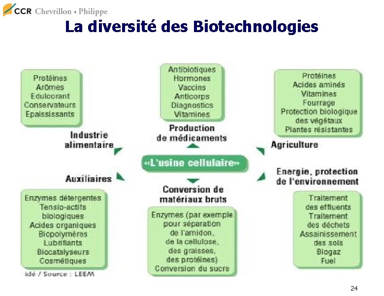 La diversité des Biotechnologies 24 