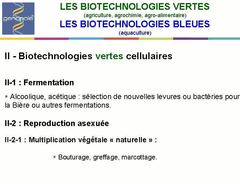 LES BIOTECHNOLOGIES VERTES (agriculture, agrochimie, agro-alimentaire) LES BIOTECHNOLOGIES BLEUES (aquaculture) II - Biotechnologies vertes
