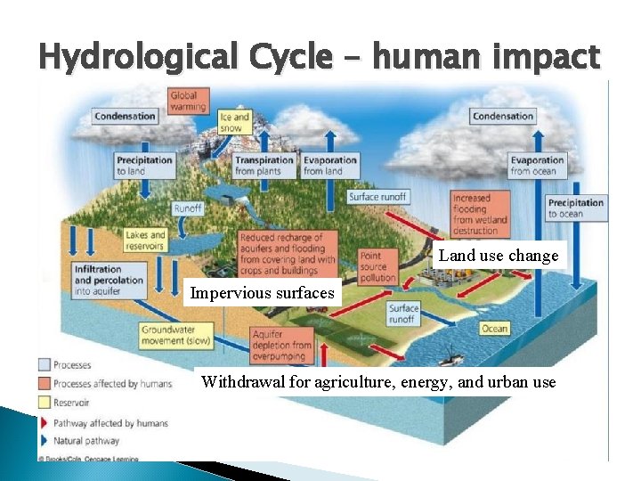 Hydrological Cycle – human impact Land use change Impervious surfaces Withdrawal for agriculture, energy,