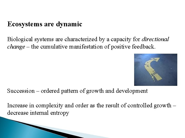 Ecosystems are dynamic Biological systems are characterized by a capacity for directional change –