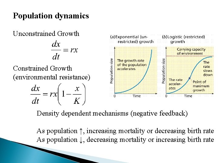 Population dynamics Unconstrained Growth Constrained Growth (environmental resistance) Density dependent mechanisms (negative feedback) As