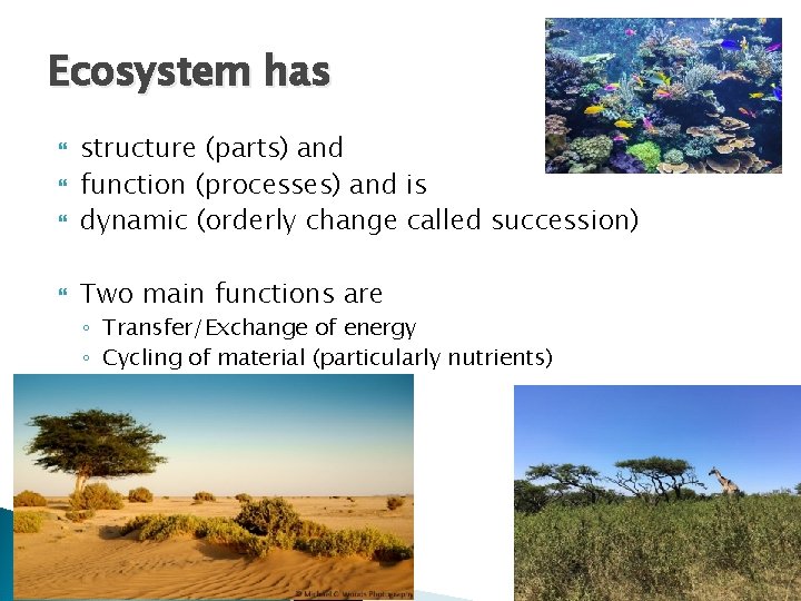 Ecosystem has structure (parts) and function (processes) and is dynamic (orderly change called succession)