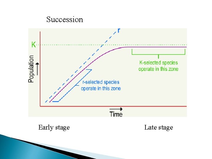 Succession Early stage Late stage 