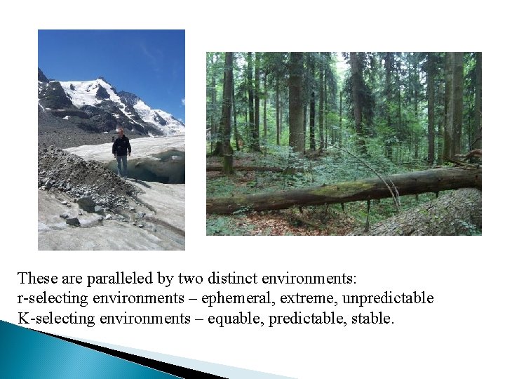 These are paralleled by two distinct environments: r-selecting environments – ephemeral, extreme, unpredictable K-selecting