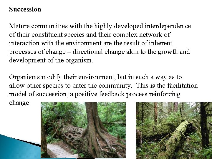 Succession Mature communities with the highly developed interdependence of their constituent species and their
