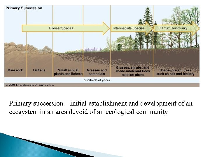 Primary succession – initial establishment and development of an ecosystem in an area devoid