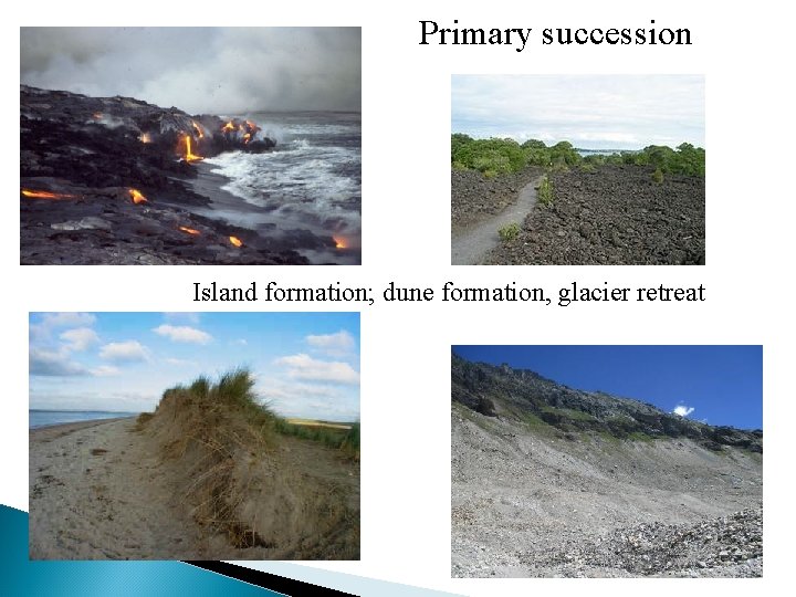 Primary succession Island formation; dune formation, glacier retreat 