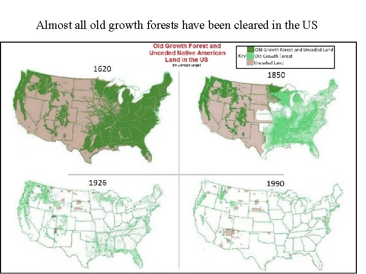 Almost all old growth forests have been cleared in the US 