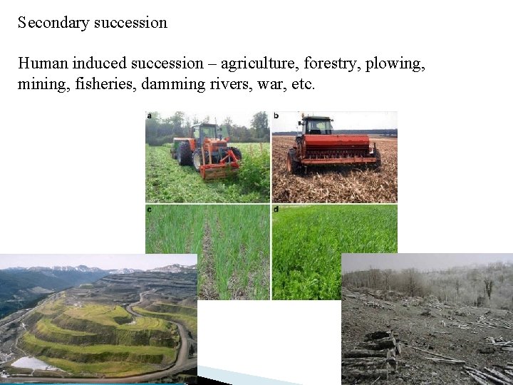 Secondary succession Human induced succession – agriculture, forestry, plowing, mining, fisheries, damming rivers, war,