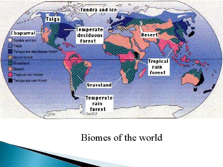 Biomes of the world 