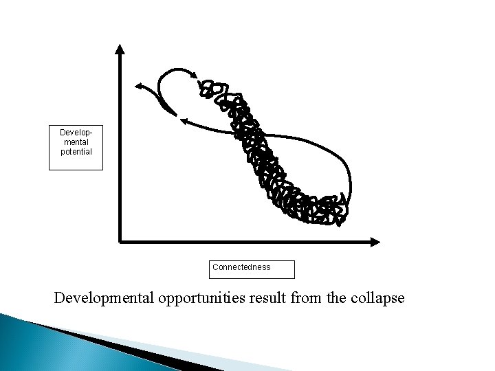 Developmental potential Connectedness Developmental opportunities result from the collapse 