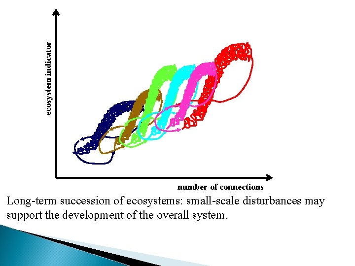 ecosystem indicator number of connections Long-term succession of ecosystems: small-scale disturbances may support the