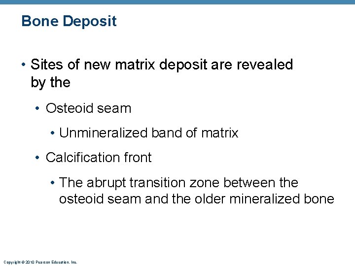 Bone Deposit • Sites of new matrix deposit are revealed by the • Osteoid