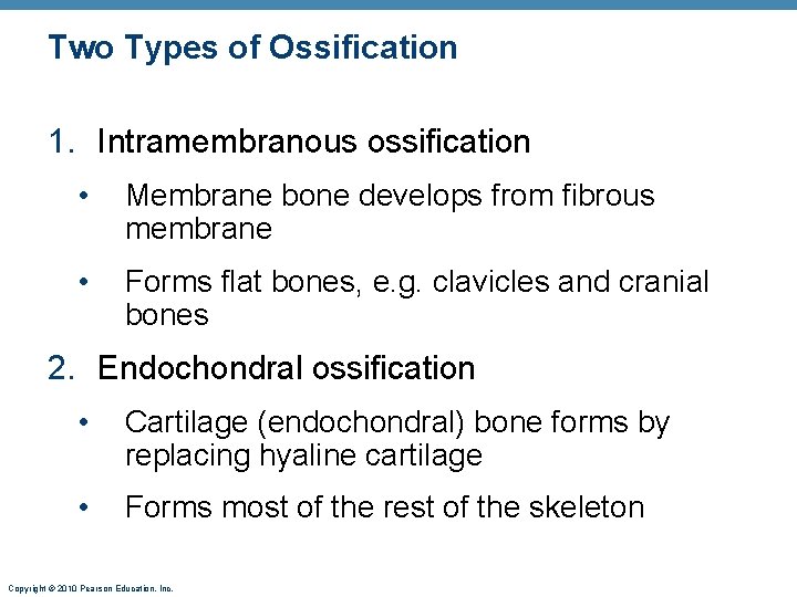 Two Types of Ossification 1. Intramembranous ossification • Membrane bone develops from fibrous membrane