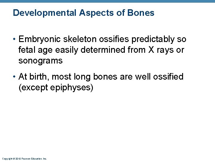 Developmental Aspects of Bones • Embryonic skeleton ossifies predictably so fetal age easily determined