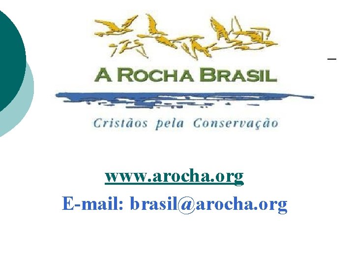 www. arocha. org E-mail: brasil@arocha. org 