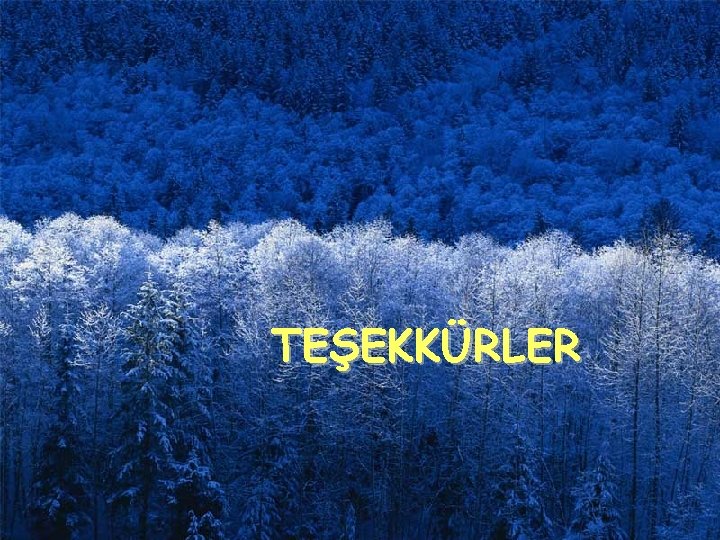 TEŞEKKÜRLER 