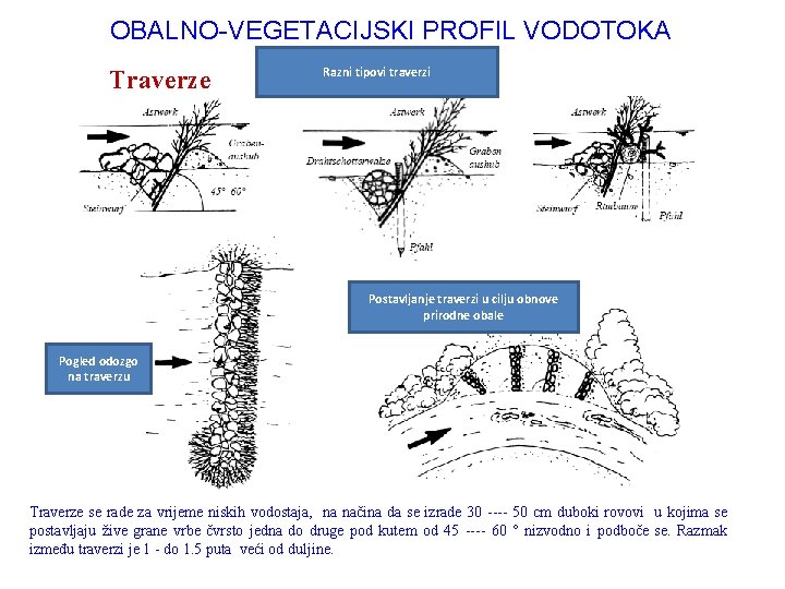 OBALNO-VEGETACIJSKI PROFIL VODOTOKA Traverze Razni tipovi traverzi Postavljanje traverzi u cilju obnove prirodne obale