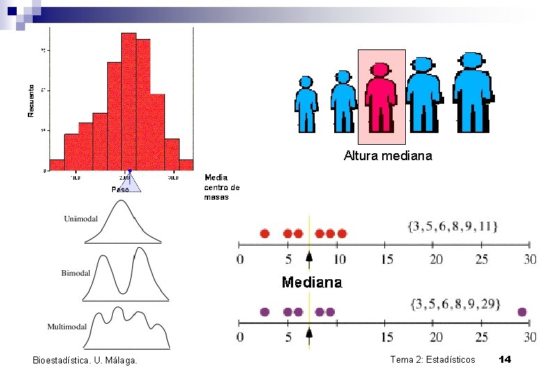 Altura mediana Bioestadística. U. Málaga. Tema 2: Estadísticos 14 