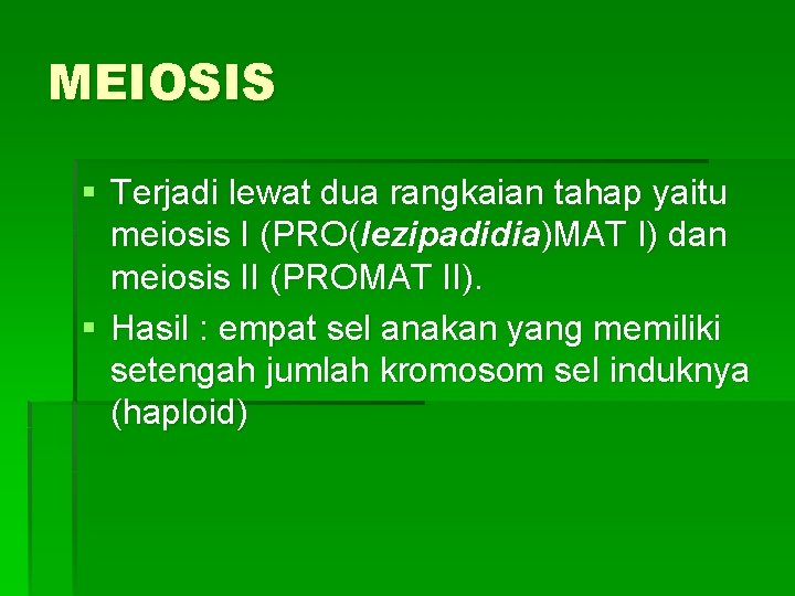 MEIOSIS § Terjadi lewat dua rangkaian tahap yaitu meiosis I (PRO(lezipadidia)MAT I) dan meiosis