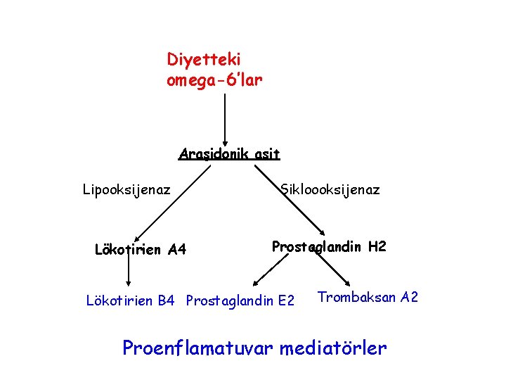 Diyetteki omega-6’lar Araşidonik asit Lipooksijenaz Lökotirien A 4 Sikloooksijenaz Prostaglandin H 2 Lökotirien B
