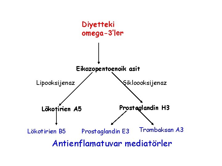 Diyetteki omega-3’ler Eikozopentoenoik asit Lipooksijenaz Lökotirien A 5 Lökotirien B 5 Sikloooksijenaz Prostaglandin H