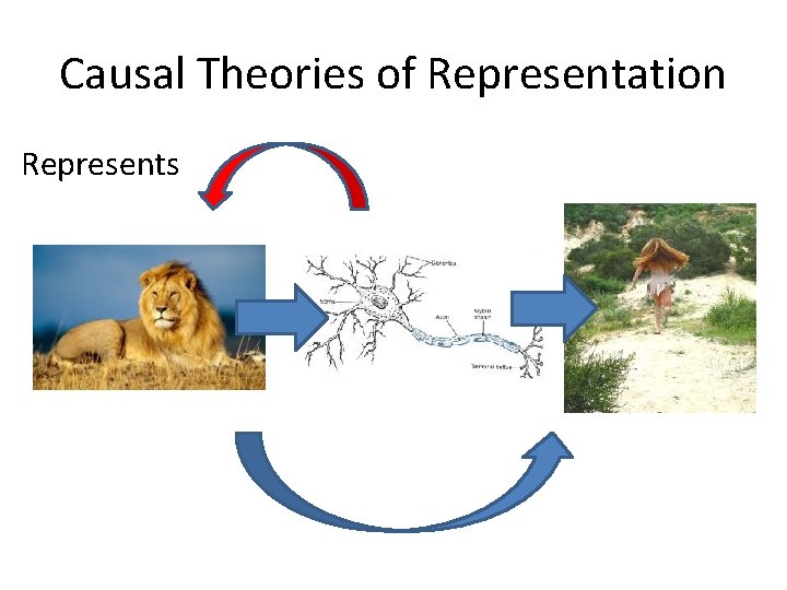 Causal Theories of Representation Represents 