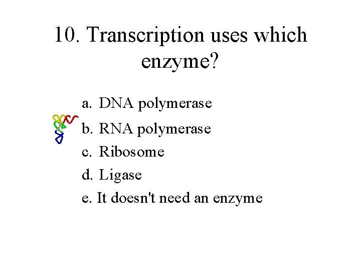 10. Transcription uses which enzyme? a. DNA polymerase b. RNA polymerase c. Ribosome d.