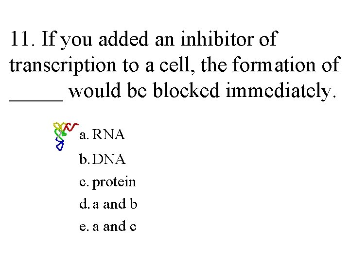 11. If you added an inhibitor of transcription to a cell, the formation of
